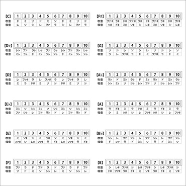ARIA AH-10 Eb テンホールズハーモニカ 画像1