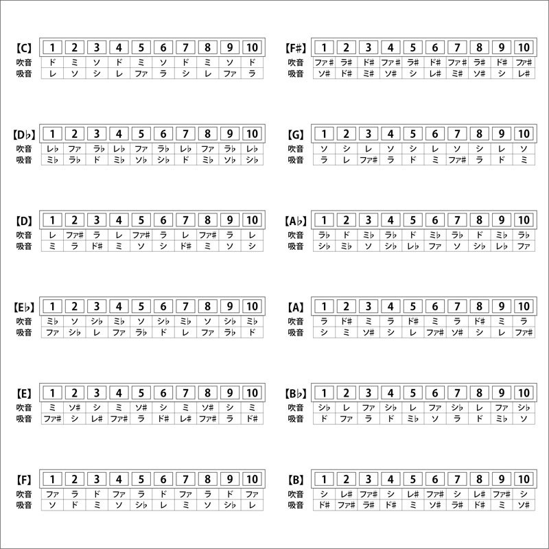 ARIA AH-10 Eb テンホールズハーモニカ 画像1