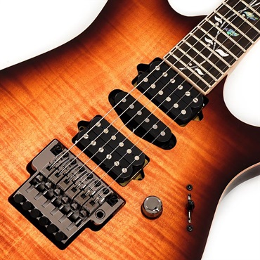 Ibanez j.custom RG8570-BSR (Brownish Sphalerite) [SPOT MODEL] SN.F2422054 画像3