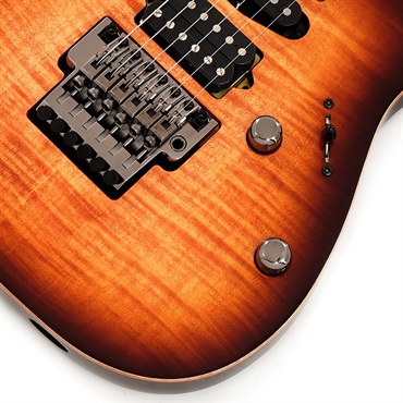 Ibanez j.custom RG8570-BSR (Brownish Sphalerite) [SPOT MODEL] SN.F2422054 画像4