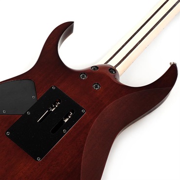 Ibanez j.custom RG8570-BSR (Brownish Sphalerite) [SPOT MODEL] SN.F2422054 画像5