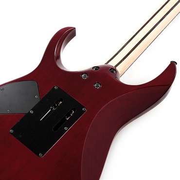Ibanez j.custom Axe Design Lab RG8870-AGT SN.F2426103 画像5