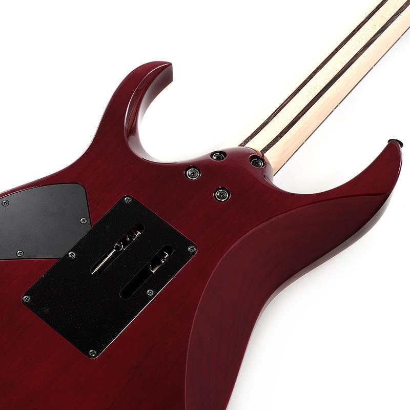 Ibanez j.custom Axe Design Lab RG8870-AGT SN.F2426103 画像5