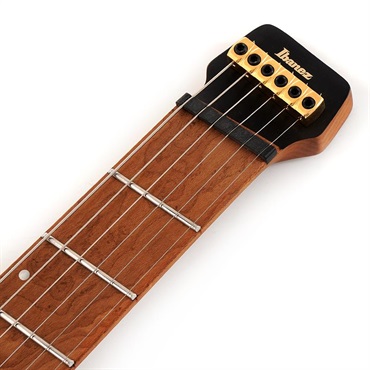 Ibanez MGFM10-OBL (Obsidian Black Low Gloss) [Manuel Gardner Fernandes Model] 画像6