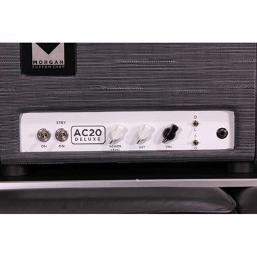Morgan Amplification Custom Shop AC20 DELUXE HEAD Twilght 画像2