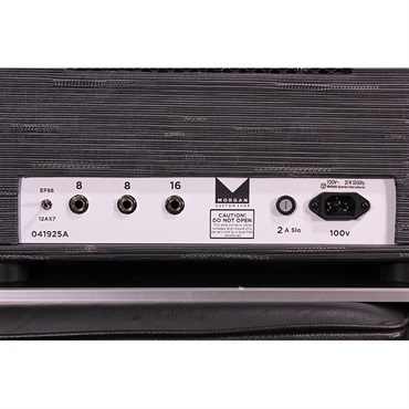 Morgan Amplification Custom Shop AC20 DELUXE HEAD Twilght 画像5