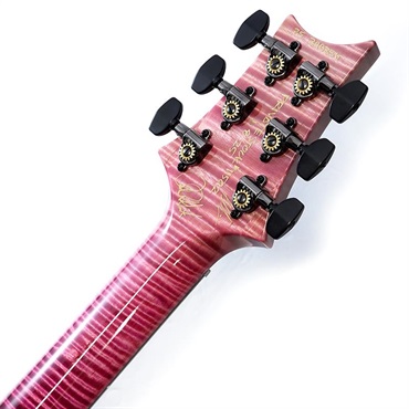 P.R.S. Private Stock #11592 Custom 24-08 Semi-Hollow Midnight Orchid Glow 画像9