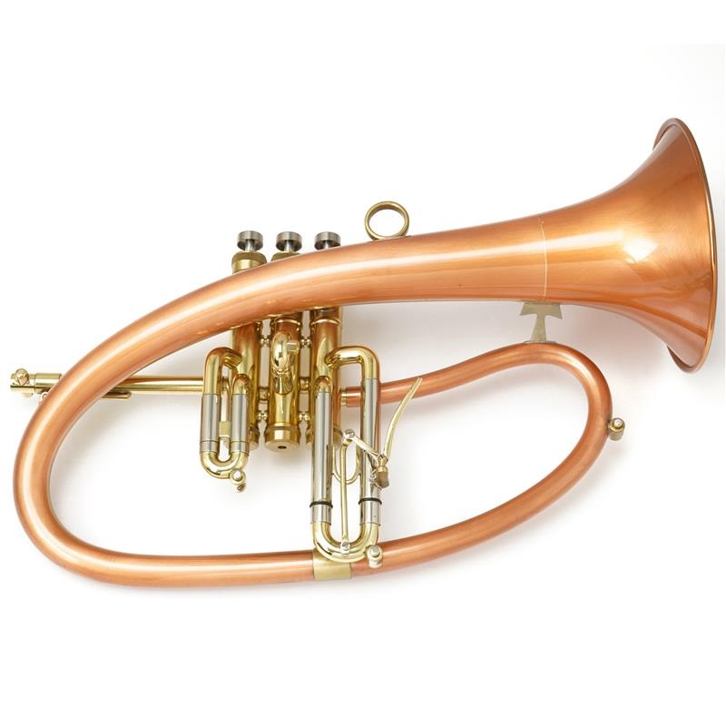 Taylor(管) USED 中古  テイラー / Phat boy 【Bb フリューゲル ホルン】【出荷前調整で安心】【史上最大決算セール】 画像1