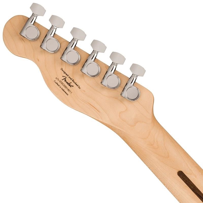 Squier by Fender 【キズ有アウトレット品！】Squier Sonic Telecaster (Butterscotch Blonde/Maple Fingerboard) 画像5