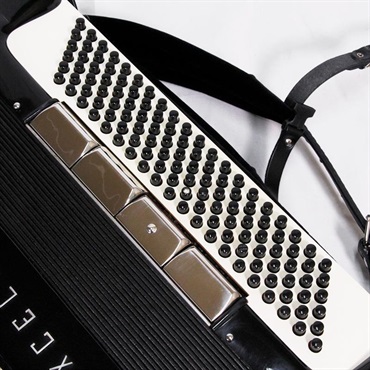 unknown 【夏のボーナスセール】 USED 中古 EXCELSIOR Mod.901(訳ありお買い得品) M.M.M.L ミュゼット エキセルシァー イタリア製 ボタン式 クロマチックアコーディオン 120ベース 画像2