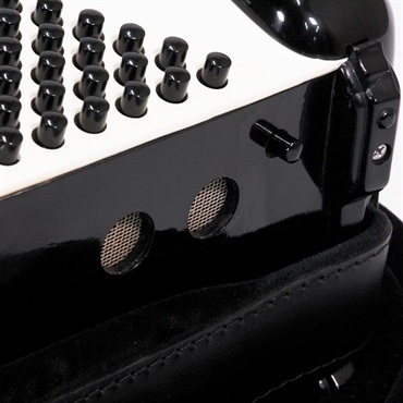 unknown 【夏のボーナスセール】 USED 中古 EXCELSIOR Mod.901(訳ありお買い得品) M.M.M.L ミュゼット エキセルシァー イタリア製 ボタン式 クロマチックアコーディオン 120ベース 画像3