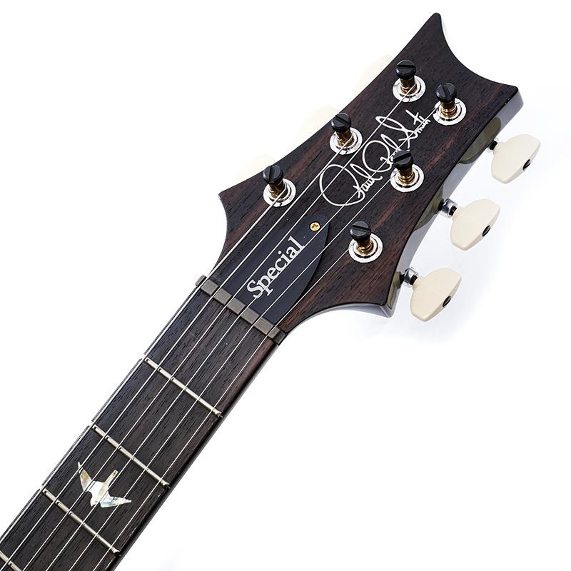 P.R.S. Ikebe 50th Anniversary Wood Library Special Semi-Hollow (Teal) SN.0404322 画像8
