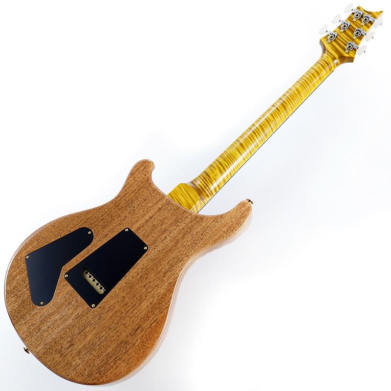 P.R.S. Ikebe 50th Anniversary Wood Library Special Semi-Hollow (Honey Gold) SN.0401650 画像2