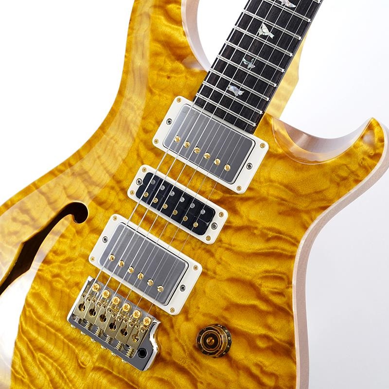 P.R.S. Ikebe 50th Anniversary Wood Library Special Semi-Hollow (Honey Gold) SN.0401650 画像3