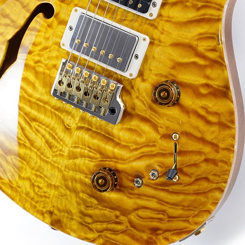 P.R.S. Ikebe 50th Anniversary Wood Library Special Semi-Hollow (Honey Gold) SN.0401650 画像4