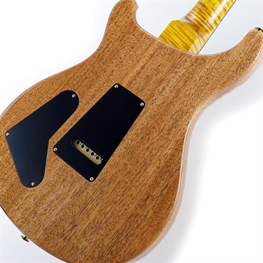 P.R.S. Ikebe 50th Anniversary Wood Library Special Semi-Hollow (Honey Gold) SN.0401650 画像7