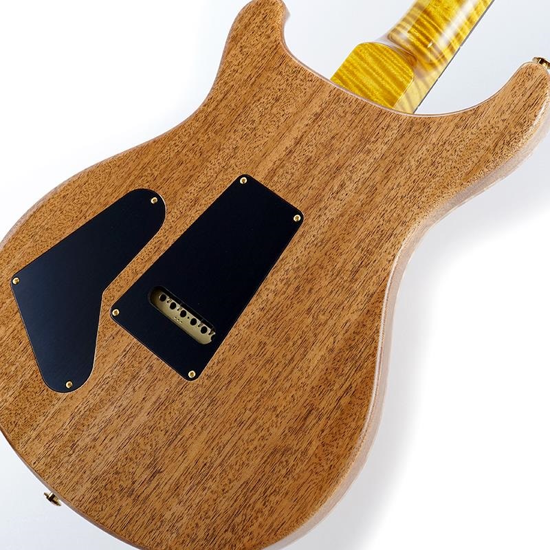 P.R.S. Ikebe 50th Anniversary Wood Library Special Semi-Hollow (Honey Gold) SN.0401650 画像7