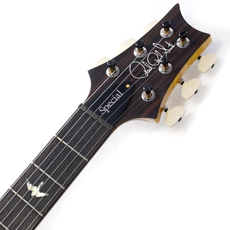 P.R.S. Ikebe 50th Anniversary Wood Library Special Semi-Hollow (Honey Gold) SN.0401650 画像8