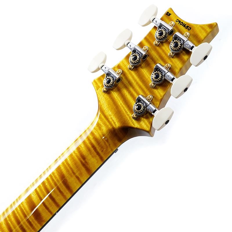P.R.S. Ikebe 50th Anniversary Wood Library Special Semi-Hollow (Honey Gold) SN.0401650 画像9