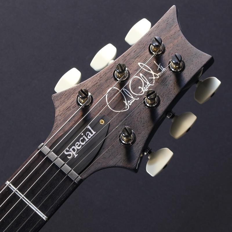 P.R.S. Ikebe 50th Anniversary Wood Library Special Semi-Hollow (Teal) #25 0402030 画像4