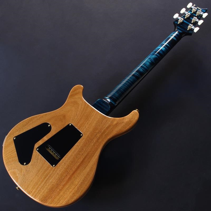 P.R.S. Ikebe 50th Anniversary Wood Library Special Semi-Hollow (Teal) #25 0402030 画像5