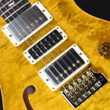 P.R.S. Ikebe 50th Anniversary Wood Library Special Semi-Hollow (Honey Gold) #25 0402026 画像3