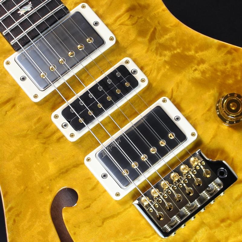 P.R.S. Ikebe 50th Anniversary Wood Library Special Semi-Hollow (Honey Gold) #25 0402026 画像3