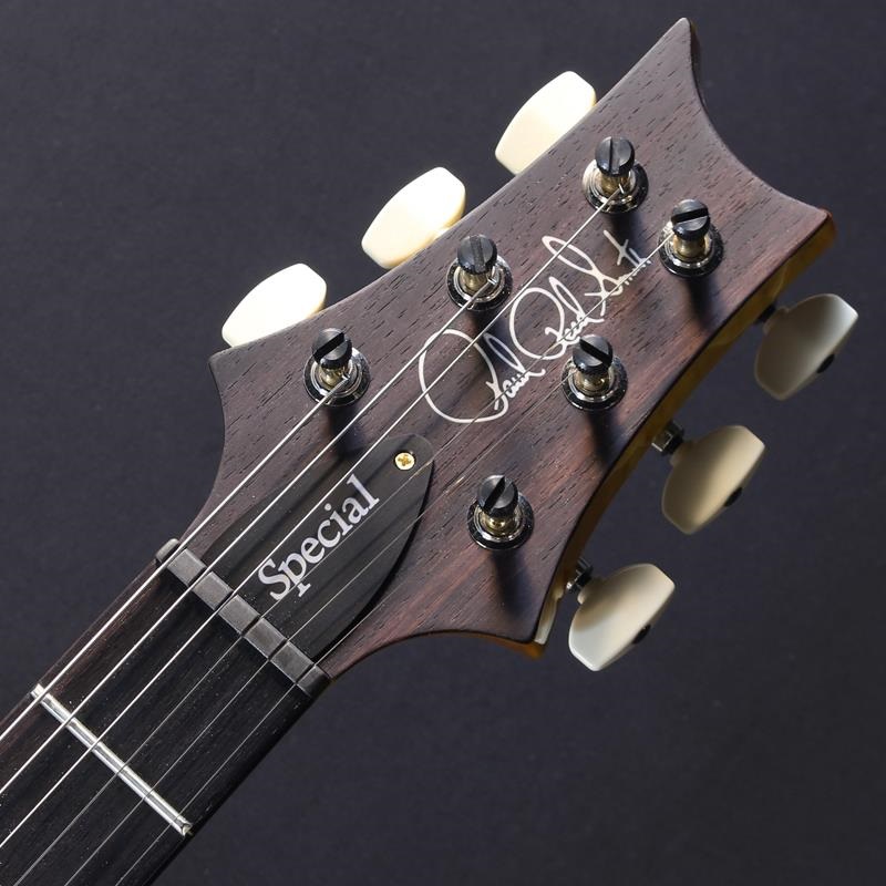 P.R.S. Ikebe 50th Anniversary Wood Library Special Semi-Hollow (Honey Gold) #25 0402026 画像4