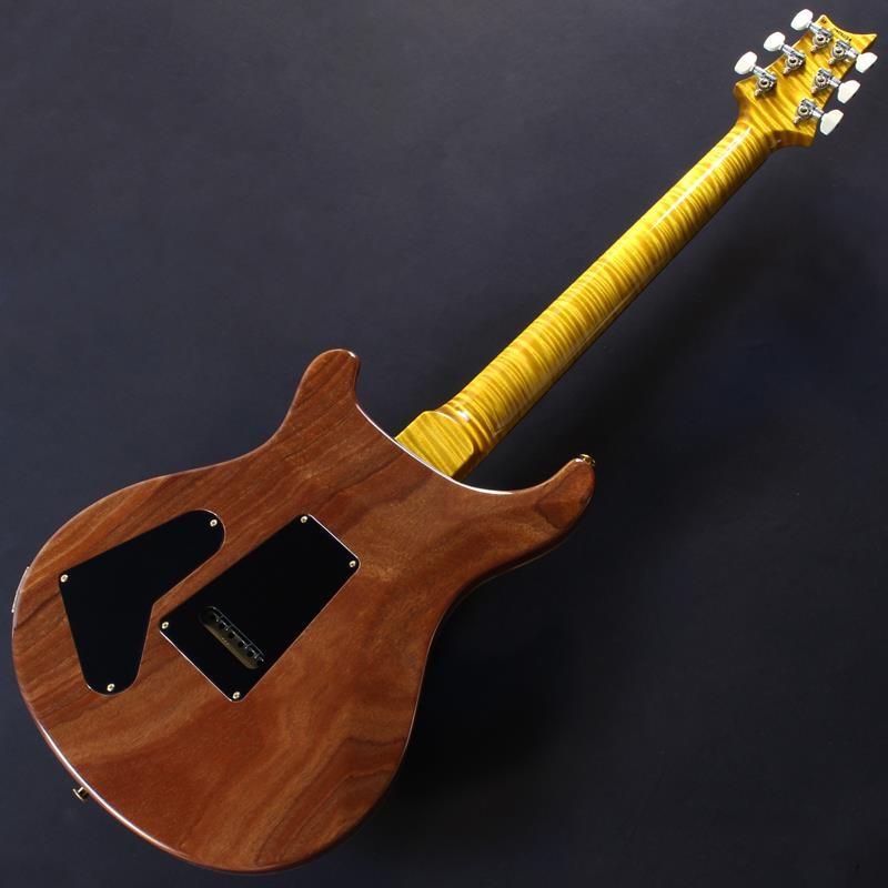 P.R.S. Ikebe 50th Anniversary Wood Library Special Semi-Hollow (Honey Gold) #25 0402026 画像5