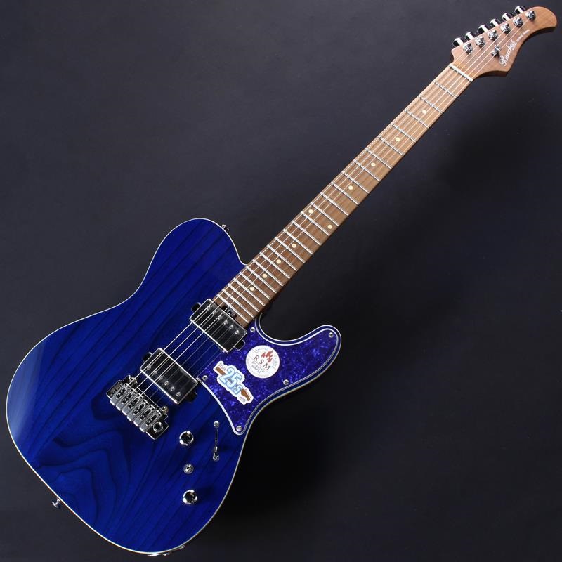Bacchus Global Series TACTICS-24ASH/RSM (STB/BLUE PG) [Limited Model] #GI18907【特価】 画像1