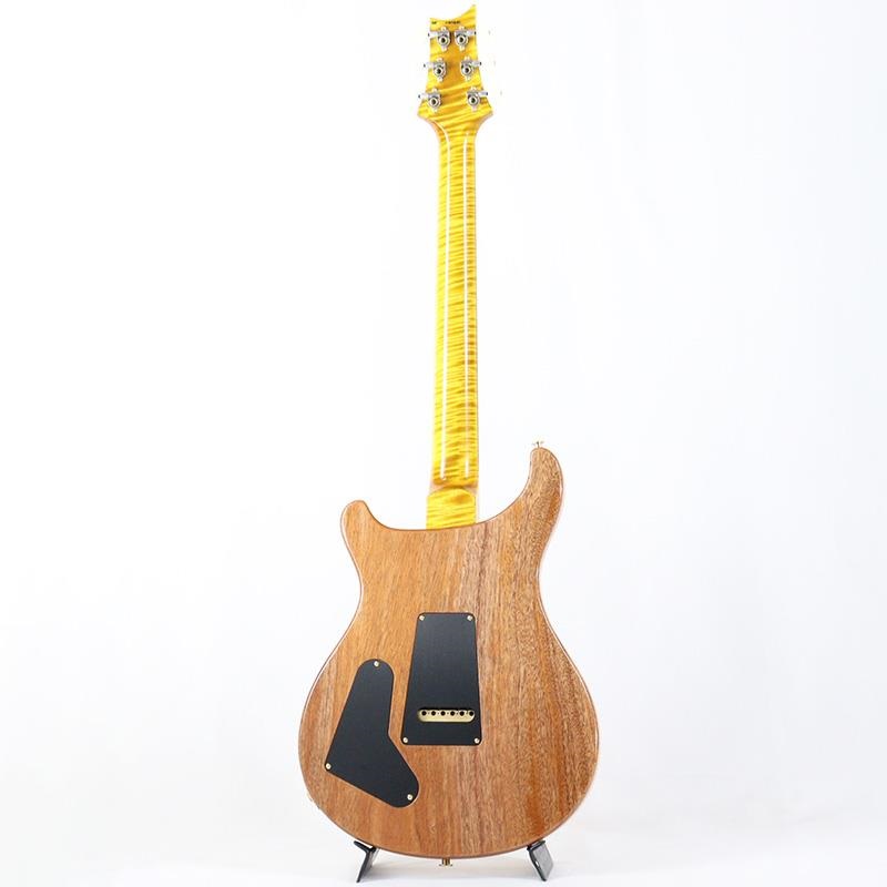 P.R.S. Ikebe 50th Anniversary Wood Library Special Semi-Hollow (Honey Gold) [SN.0401651] 画像2