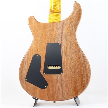 P.R.S. Ikebe 50th Anniversary Wood Library Special Semi-Hollow (Honey Gold) [SN.0401651] 画像3