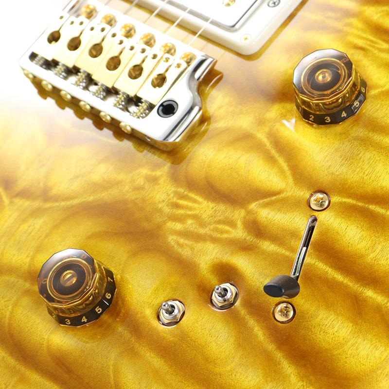 P.R.S. Ikebe 50th Anniversary Wood Library Special Semi-Hollow (Honey Gold) [SN.0401651] 画像5