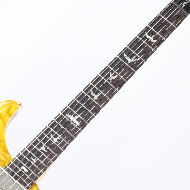 P.R.S. Ikebe 50th Anniversary Wood Library Special Semi-Hollow (Honey Gold) [SN.0401651] 画像7