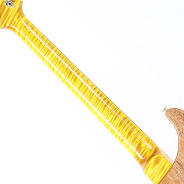 P.R.S. Ikebe 50th Anniversary Wood Library Special Semi-Hollow (Honey Gold) [SN.0401651] 画像8