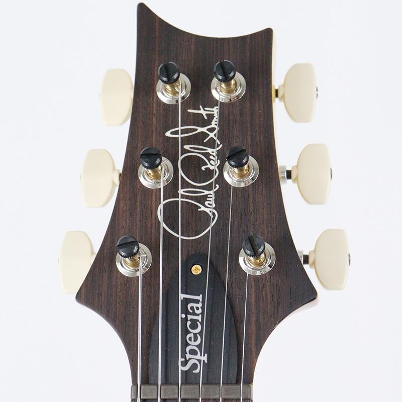 P.R.S. Ikebe 50th Anniversary Wood Library Special Semi-Hollow (Honey Gold) [SN.0401651] 画像9