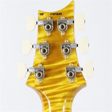 P.R.S. Ikebe 50th Anniversary Wood Library Special Semi-Hollow (Honey Gold) [SN.0401651] 画像10