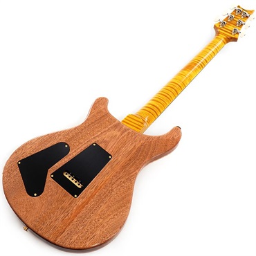 P.R.S. Ikebe 50th Anniversary Wood Library Special Semi-Hollow (Honey Gold) SN.0402027 画像2