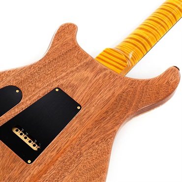 P.R.S. Ikebe 50th Anniversary Wood Library Special Semi-Hollow (Honey Gold) SN.0402027 画像5