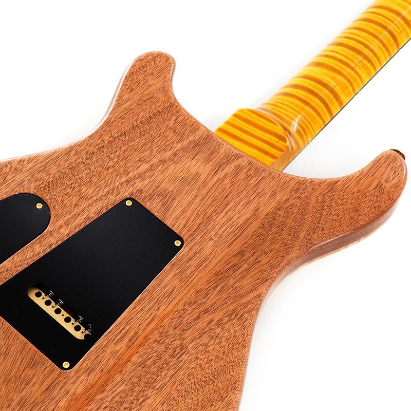 P.R.S. Ikebe 50th Anniversary Wood Library Special Semi-Hollow (Honey Gold) SN.0402027 画像5