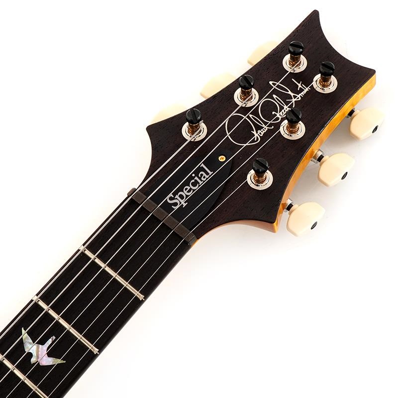 P.R.S. Ikebe 50th Anniversary Wood Library Special Semi-Hollow (Honey Gold) SN.0402027 画像6