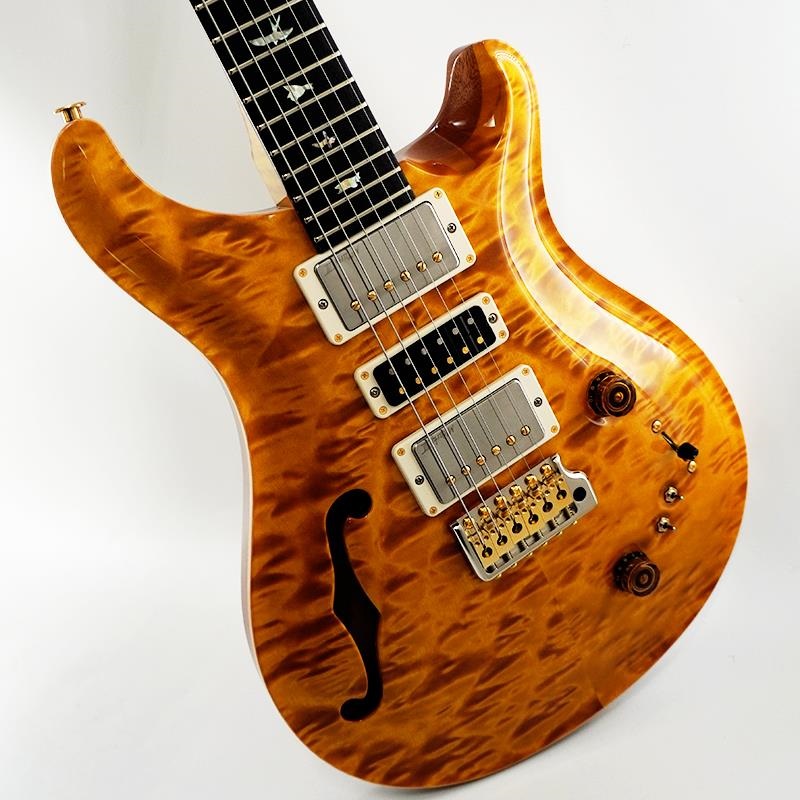 P.R.S. Ikebe 50th Anniversary Wood Library Special Semi-Hollow (Honey Gold) SN.0402027 画像10