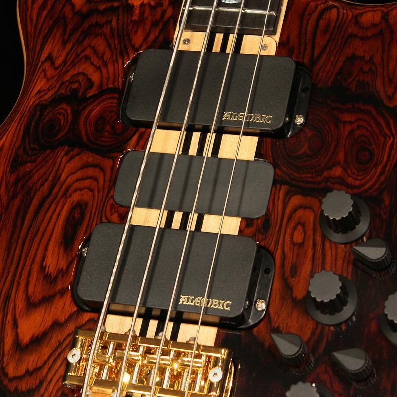 ALEMBIC SSB / Series II 4st (Coco Bolo Top & Back / Ebony Neck Laminates) 画像2