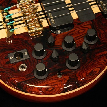 ALEMBIC SSB / Series II 4st (Coco Bolo Top & Back / Ebony Neck Laminates) 画像4