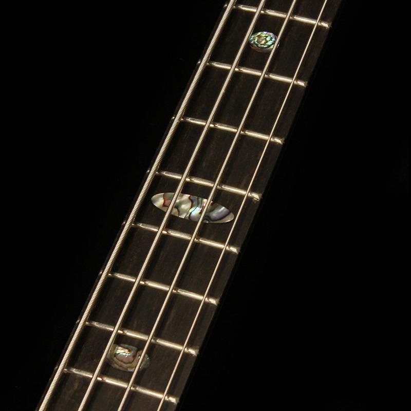 ALEMBIC SSB / Series II 4st (Coco Bolo Top & Back / Ebony Neck Laminates) 画像5