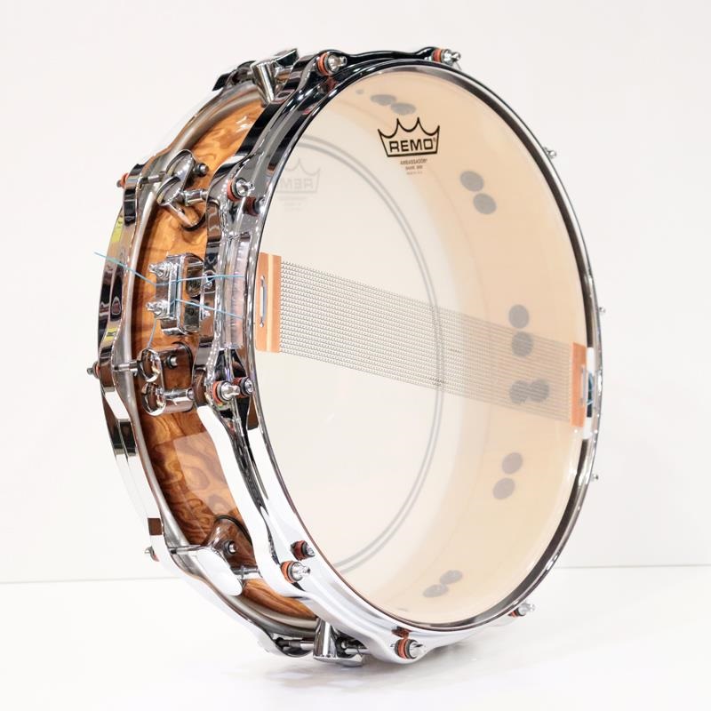 SONOR USED 中古 DL-1404SDWD [DELITE Series 14''×4.25 Snare Drum - Walnut Roots Gloss] 画像6