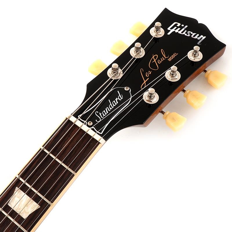 Gibson Les Paul Standard 50s Plain Top (Pelham Blue) 【S/N 228430258】 画像6