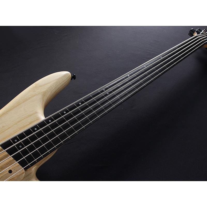 Ibanez GWB1005-NTF [Gary Willis Signature Model] 画像6
