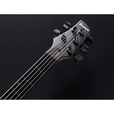 Ibanez GWB1005-NTF [Gary Willis Signature Model] 画像7