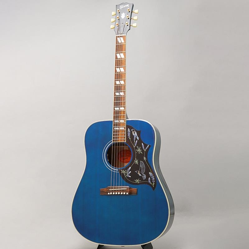 Gibson 【特価】【創業50周年大決算SALE】 Miranda Lambert Bluebird （傷アリ大特価） ギブソン 画像2